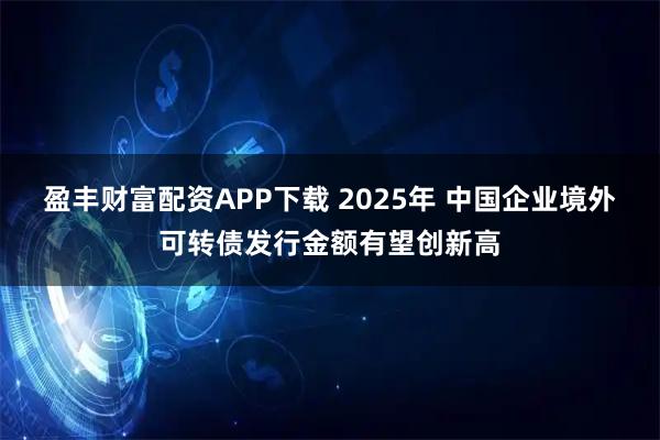 盈丰财富配资APP下载 2025年 中国企业境外可转债发行金额有望创新高