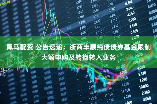 黑马配资 公告速递：浙商丰顺纯债债券基金限制大额申购及转换转入业务