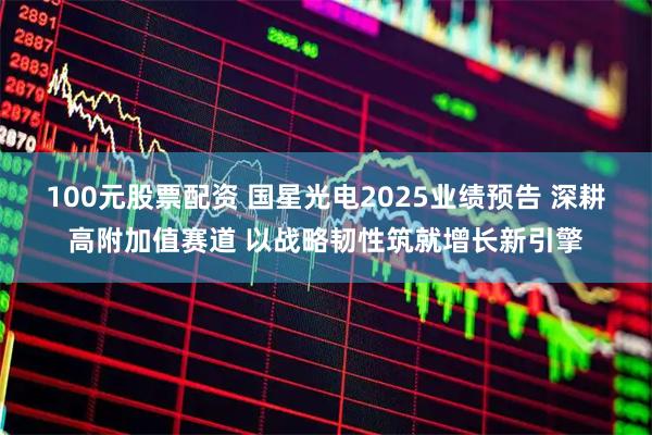 100元股票配资 国星光电2025业绩预告 深耕高附加值赛道 以战略韧性筑就增长新引擎